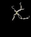 Lightning